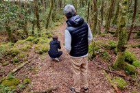 樹海モーニングツアー