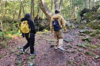 樹海モーニングツアー