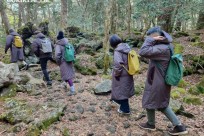 樹海モーニングツアー