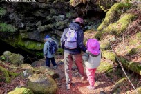 樹海モーニングツアー