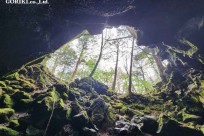 樹海モーニングツアー