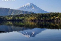 樹海モーニングツアー