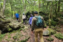 樹海モーニングツアー