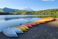 樹海モーニングツアー