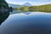 樹海モーニングツアー