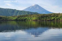 樹海モーニングツアー
