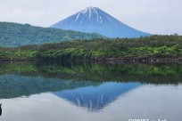 樹海モーニングツアー
