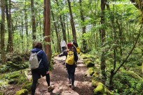 星のや富士様　樹海溶岩ハイキング