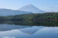 樹海モーニングツアー