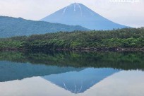 樹海モーニングツアー