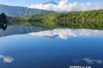 樹海モーニングツアー