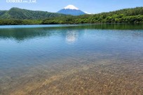 特別樹海ネイチャーツアー