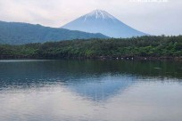樹海モーニングツアー