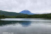 樹海モーニングツアー