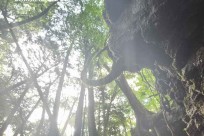 樹海モーニングツアー（取材）