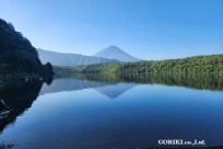 樹海モーニングツアー