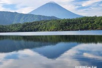 樹海モーニングツアー