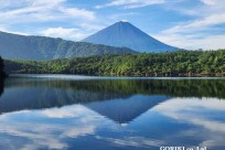 樹海モーニングツアー