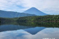 樹海モーニングツアー
