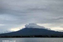 樹海モーニングツアー