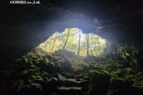 樹海モーニングツアー