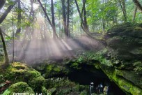 樹海モーニングツアー
