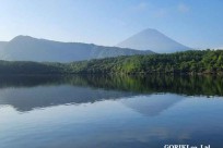 樹海モーニングツアー