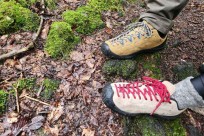 樹海モーニングツアー