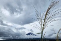 樹海モーニングツアー