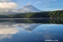 樹海モーニングツアー
