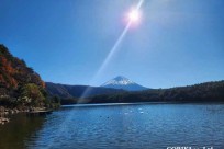 樹海モーニングツアー