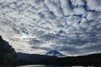 樹海モーニングツアー