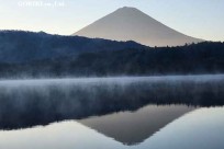 樹海モーニングツアー