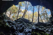 樹海モーニングツアー