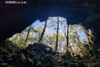 星のや富士様　樹海溶岩ハイキング