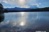 樹海モーニングツアー