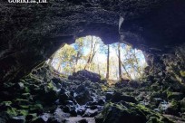 樹海モーニングツアー