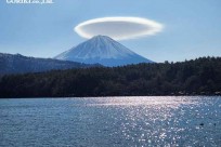 樹海モーニングツアー