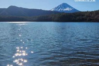 樹海モーニングツアー