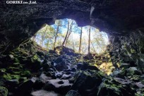 星のや富士様　樹海溶岩ハイキング