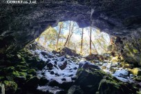 星のや富士様　樹海溶岩ハイキング