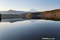 樹海モーニングツアー
