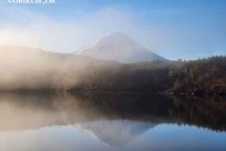 樹海モーニングツアー