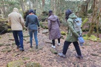 樹海モーニングツアー