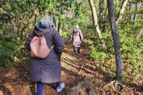 樹海モーニングツアー