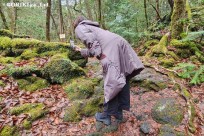 樹海モーニングツアー