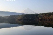 樹海モーニングツアー