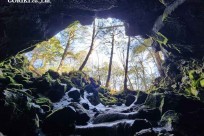 樹海モーニングツアー