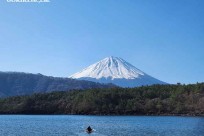 樹海モーニングツアー