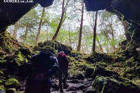 樹海モーニングツアー